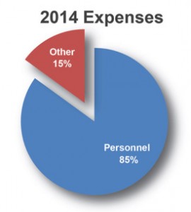 2014 Expenses chart